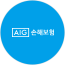 AIG손해보험
