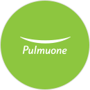 Pulmuone