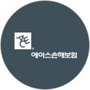 ACE손해보험