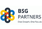 BSG PARTNERS
